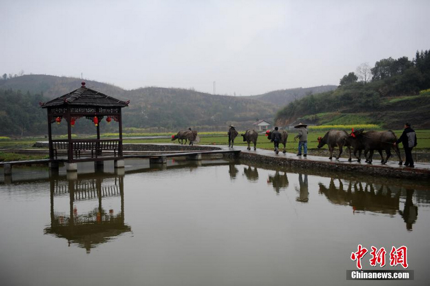 ���ϳ��ݴ�������´�������ʽ Ը�ú��ճɡ�3��