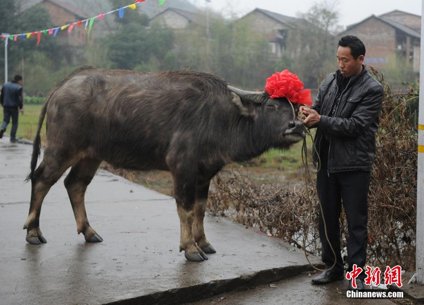 ���ϳ��ݴ�������´�������ʽ Ը�ú��ճɡ�6��