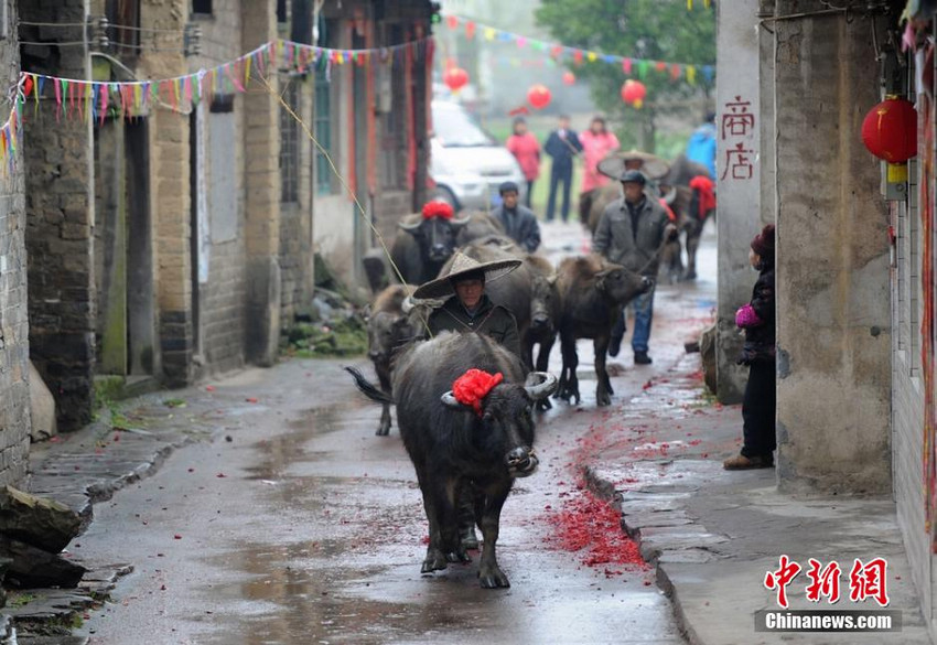 ���ϳ��ݴ�������´�������ʽ Ը�ú��ճɡ�2��