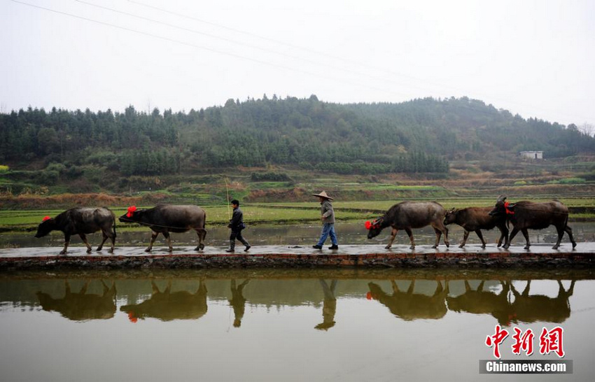 ���ϳ��ݴ�������´�������ʽ Ը�ú��ճɡ�4��