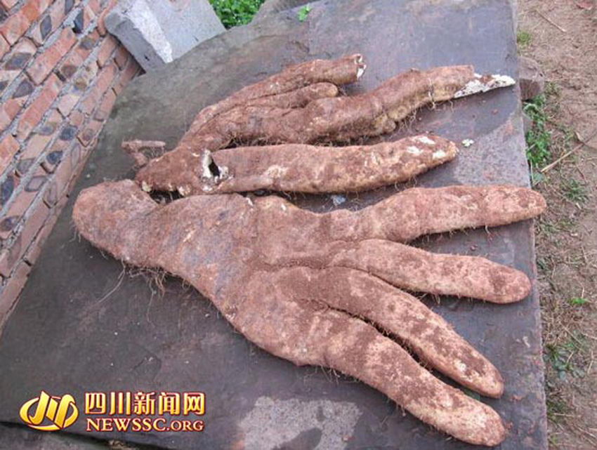 �ڳ��ĽŰ��档