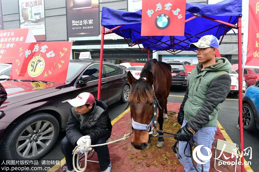 ���ݾٰ조���⳵չ�� ���������⳵�ϰ�5��