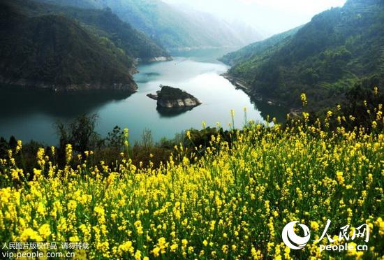 һ������ʻ�����棬���������ˮ������ƽ����һ���鶯�С�