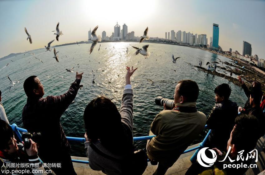 �ൺջ�ź�Ÿ��ʼǨ�� �ο�ϧ������ιʳ