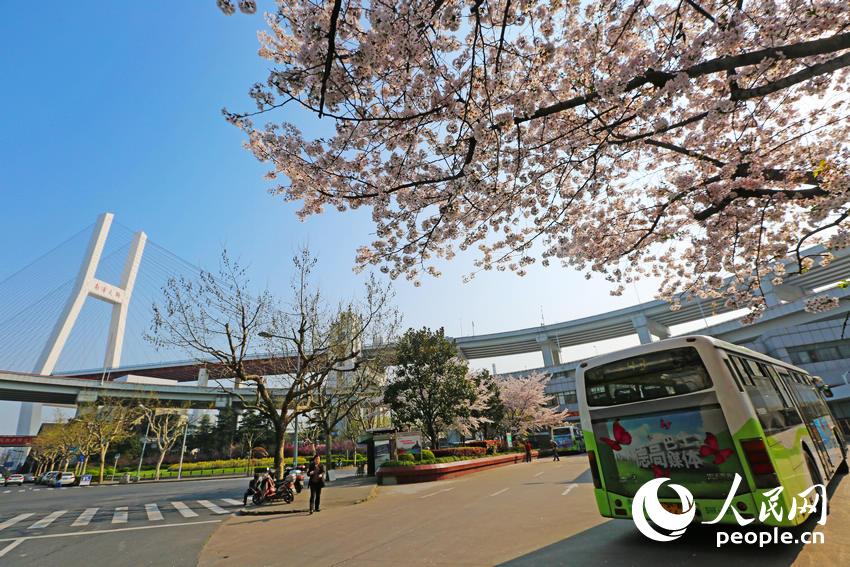 ���壺�Ϻ�������������վ������ ��������ӣ�ء�5��