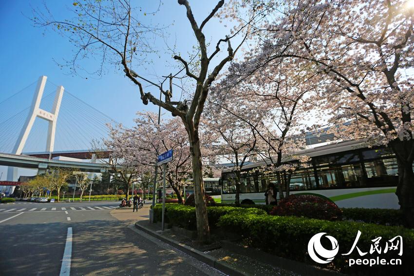 ���壺�Ϻ�������������վ������ ��������ӣ�ء�11��