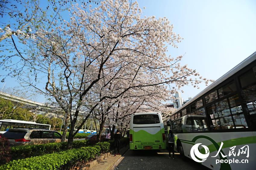 ���壺�Ϻ�������������վ������ ��������ӣ�ء�2��