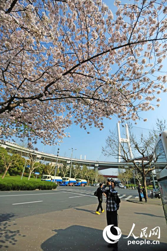 ���壺�Ϻ�������������վ������ ��������ӣ�ء�6��