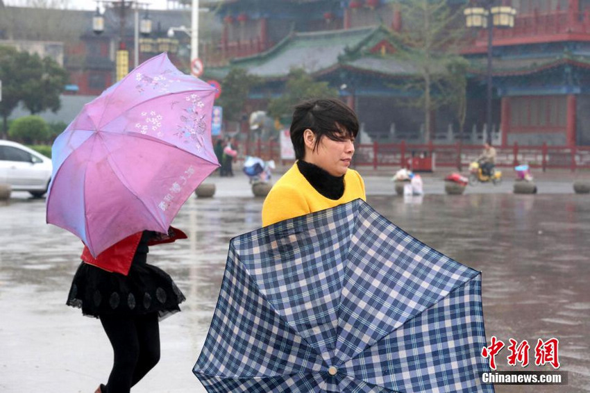 �������Ϯ���� ����������䵹��һƬ�ǽ塾4��