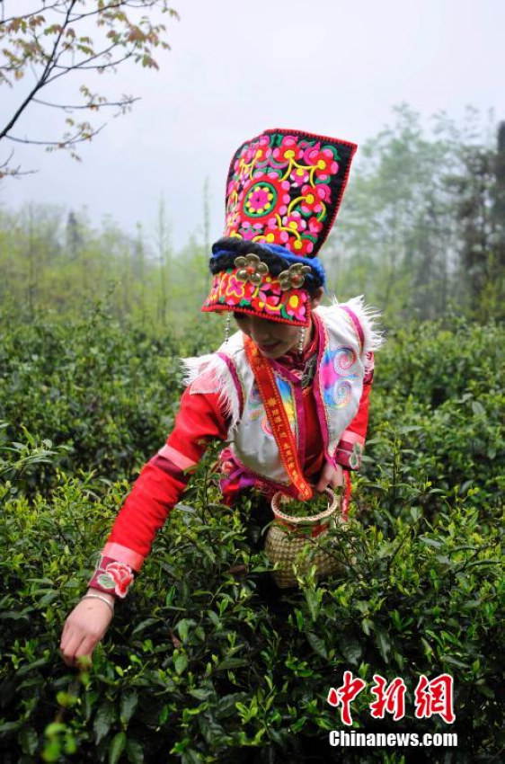 �Ĵ��봨Ǽ�Ҳɲ�Ů ��Ҷӳ�ľ���������5��