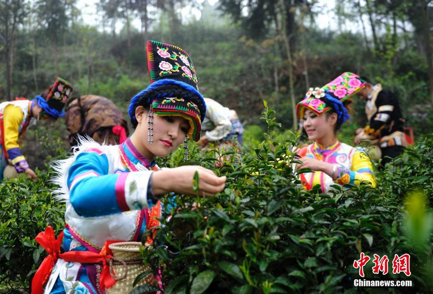 �Ĵ��봨Ǽ�Ҳɲ�Ů ��Ҷӳ�ľ���������3��