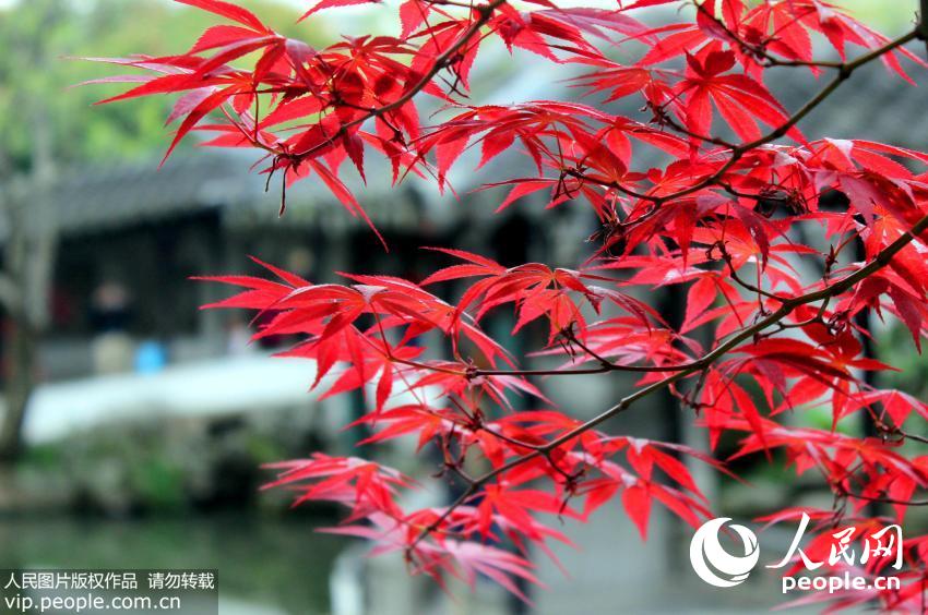 ����԰�ִ��պ����⽿��5��