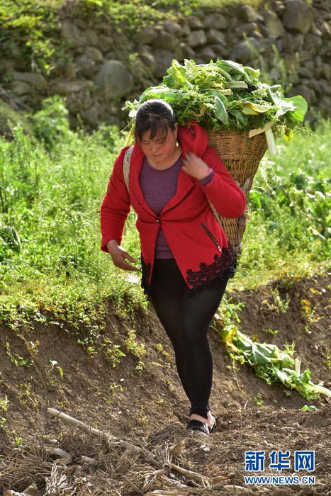 4��16�գ�����֥�����������