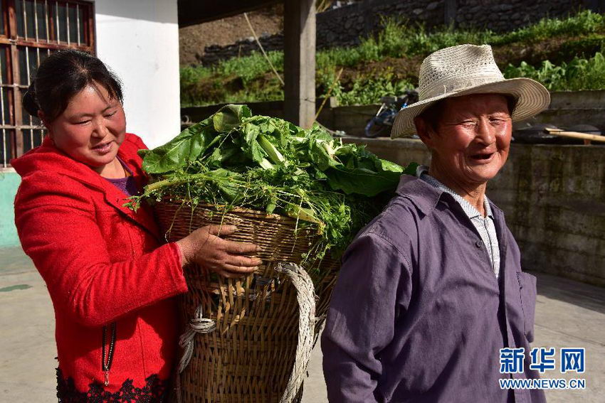 4��16�գ�����ë���״����ݻ�������ϱ����֥��æ���±�¨��