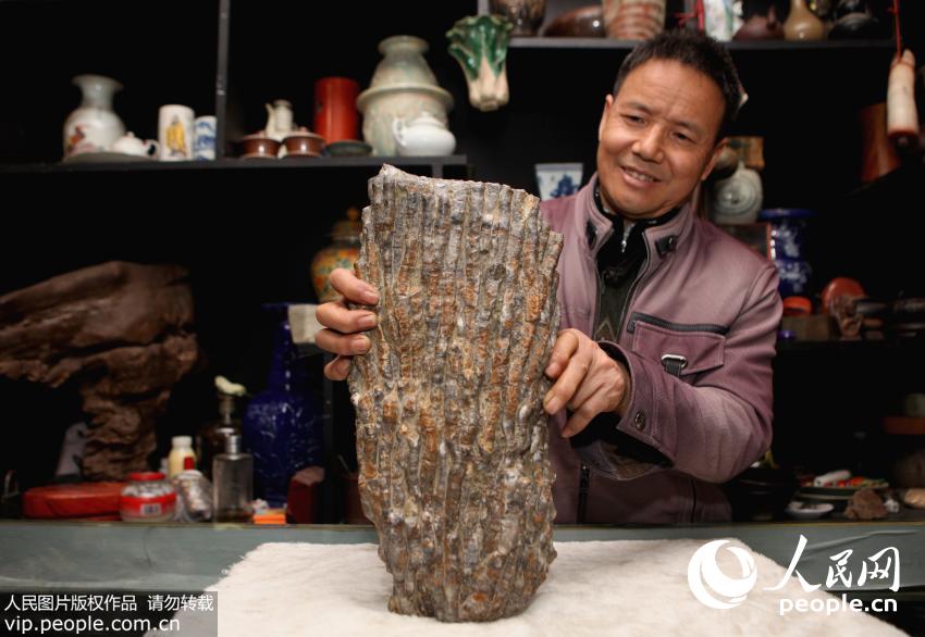 四川内江发现重达10公斤的古生物化石 专家称有上亿年历史