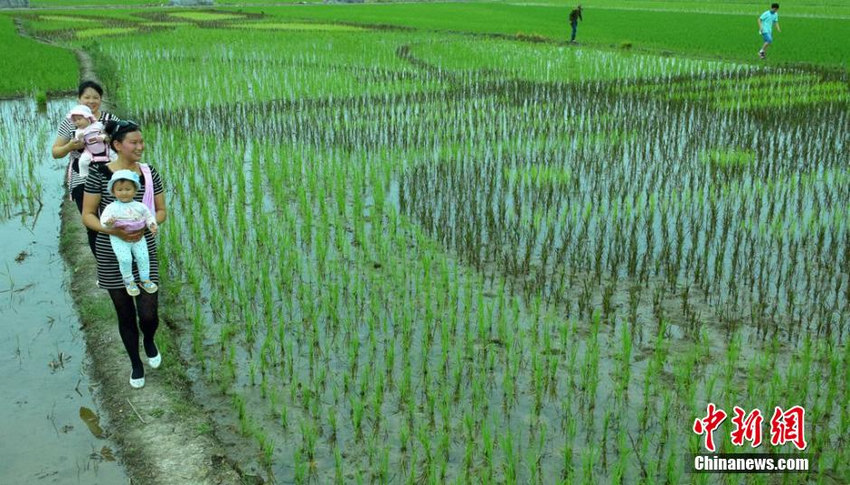 ���ϳ���ũ�����ˮ����������