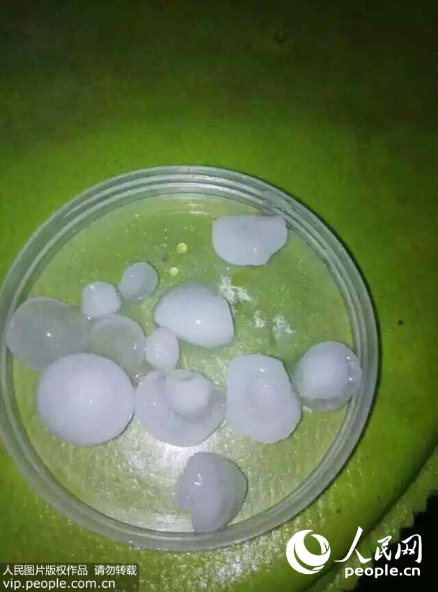 ���ϻ���ͻ������ 25Сʱ���������졾2��