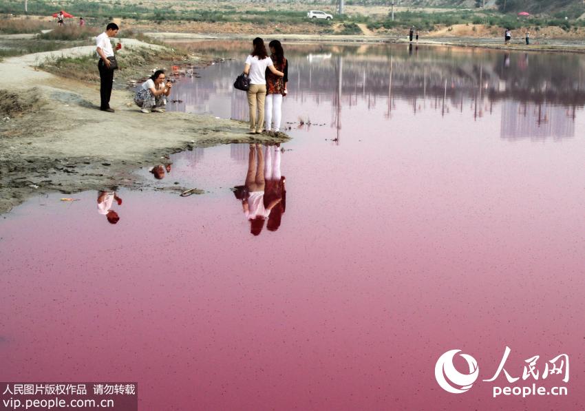 ɽ���˳��κ����ɫ�ɡ�õ�������2��