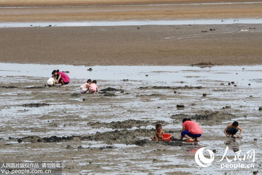 ɽ���ൺ�����˳��Ϻ� ľ�����������ӡ���10��