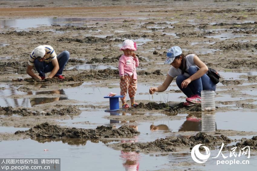 ɽ���ൺ�����˳��Ϻ� ľ�����������ӡ���3��