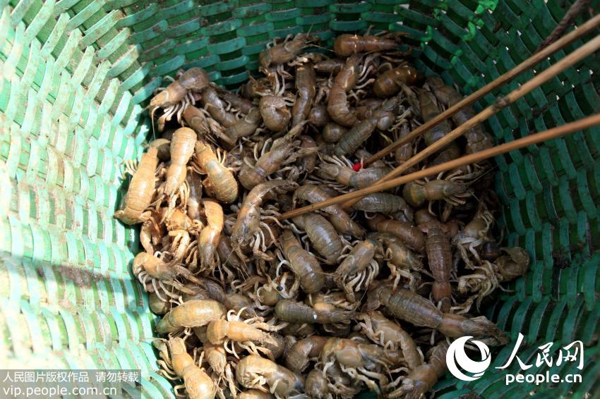 ɽ���ൺ�����˳��Ϻ� ľ�����������ӡ���7��