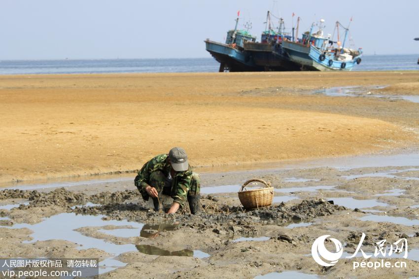 ɽ���ൺ�����˳��Ϻ� ľ�����������ӡ���6��