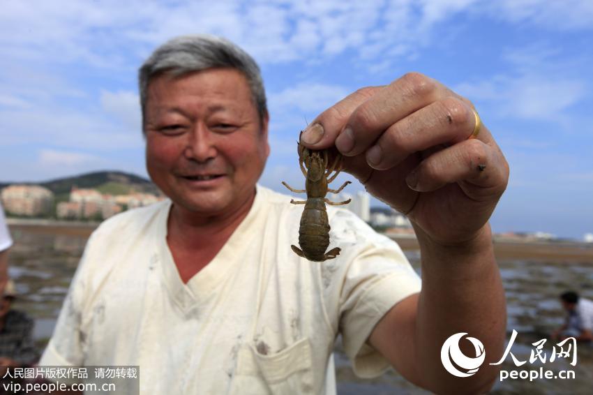 ɽ���ൺ�����˳��Ϻ� ľ�����������ӡ���2��