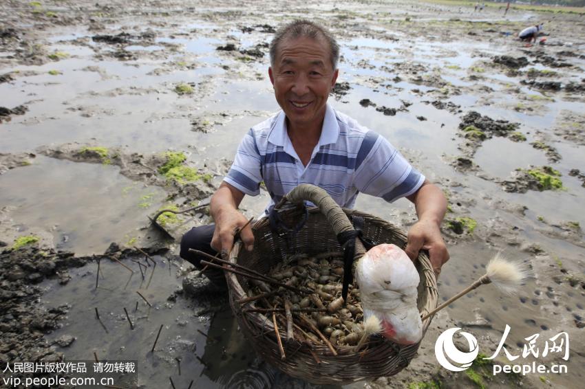 ɽ���ൺ�����˳��Ϻ� ľ�����������ӡ���4��