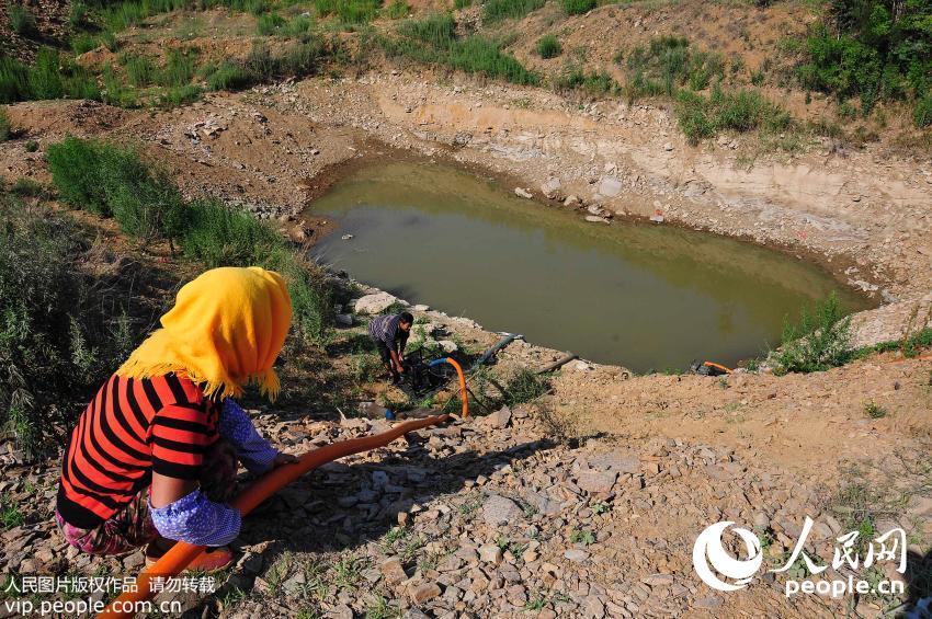 7��8�գ���ɽ��ʡ��̨�и�ɽ���Ÿ�ׯ����̨�壬ũ���ڴ��ϳ�����ˮ������