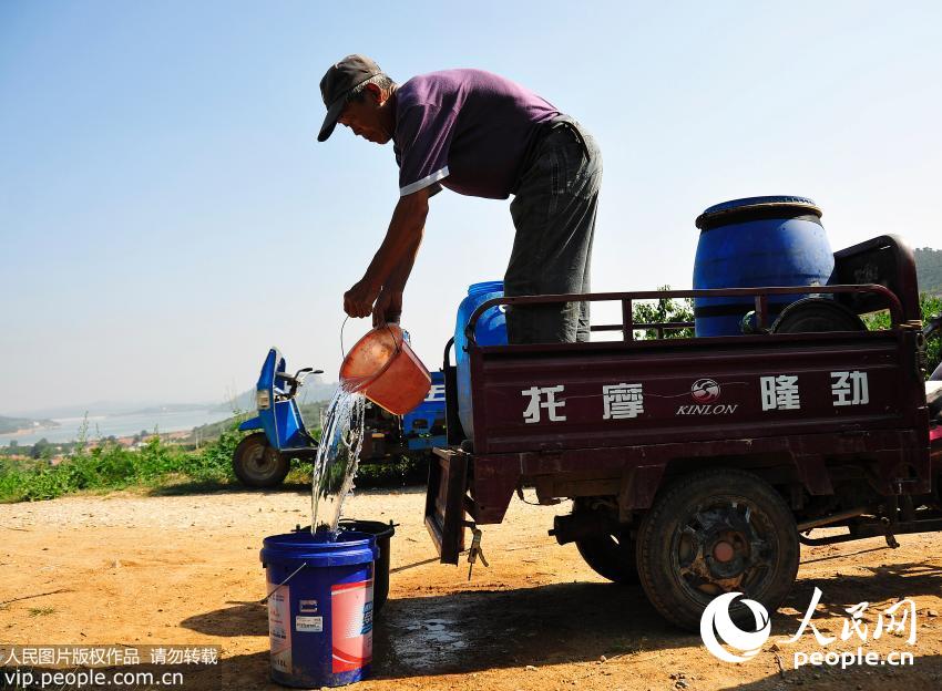 7��8�գ���ɽ��ʡ��̨�и�ɽ���Ÿ�ׯ����̨�壬ũ��Ѽ����ˮ����ɽ�Ͽ�����