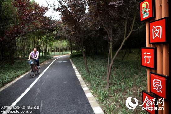 上海首个慢行绿道建成开放(2015.7.10)3版