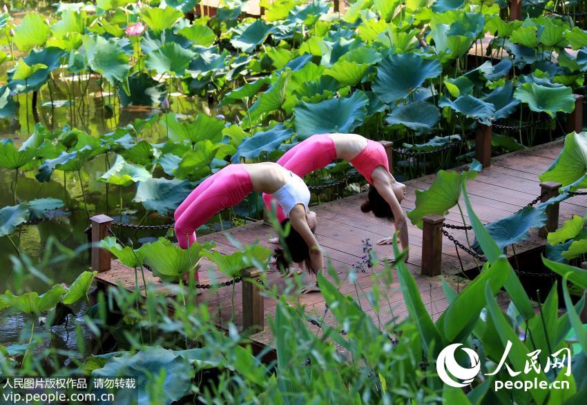 ���ջ�ɽ���������٤�㡾4��