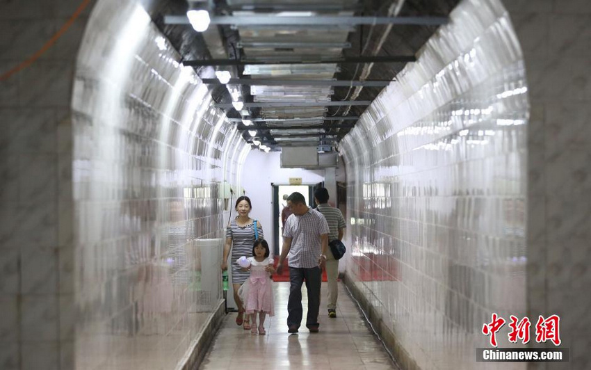 南京八大“防空洞”对市民免费开放 配有wifi信号