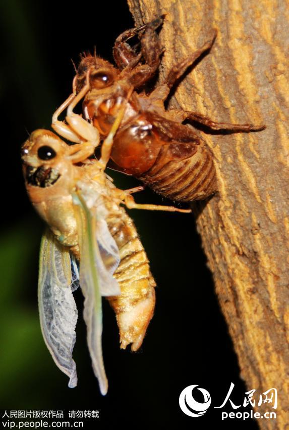 ����ȫ���ӿ����ɱ���������������Ĳ����ף�����ѽ�����Ժú���Ϣһ���ˡ�