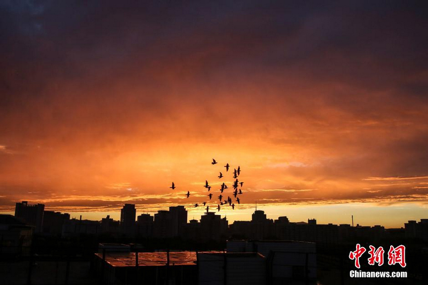 8��3�գ������ı�����գ�����ϼ��ӳ����Ѥ����Ŀ�������緢 ��Ȼ ��
