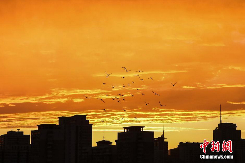 8��3�գ������ı�����գ�����ϼ��ӳ����Ѥ����Ŀ�������緢 ��Ȼ ��