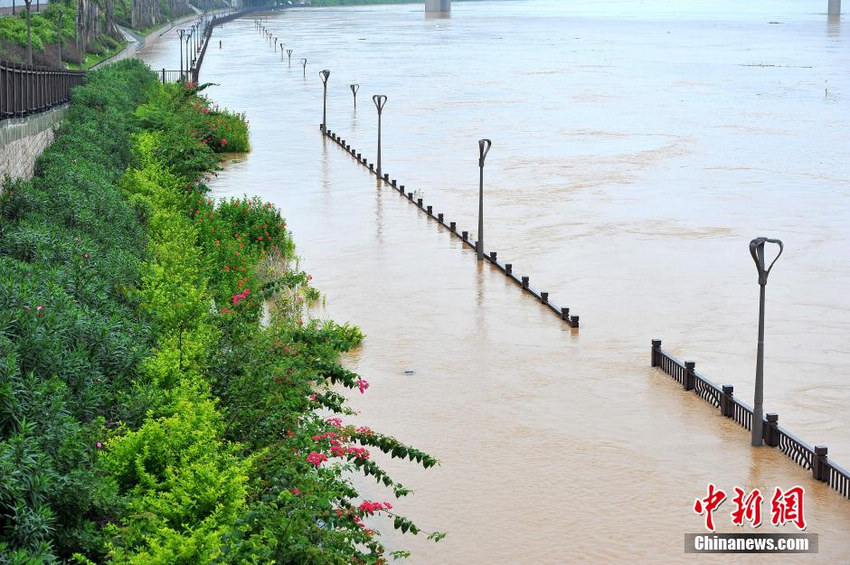 广西连日降雨邕江水位猛涨 南宁江边景观道被淹没【2】