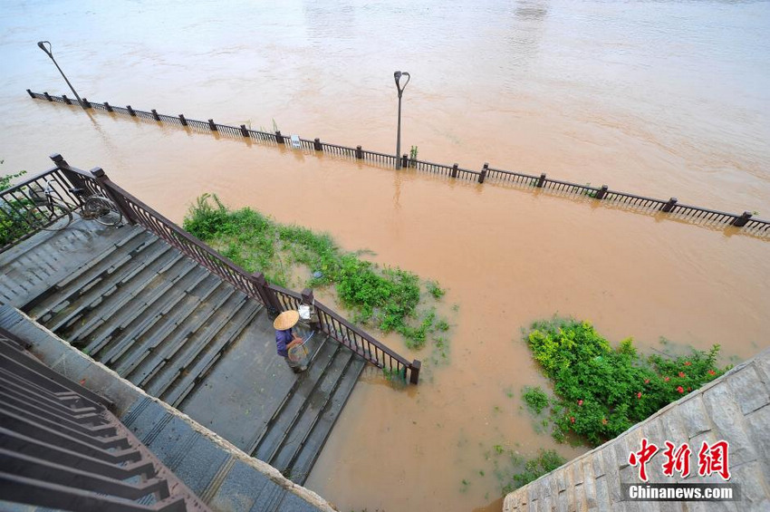 广西连日降雨邕江水位猛涨 南宁江边景观道被淹没