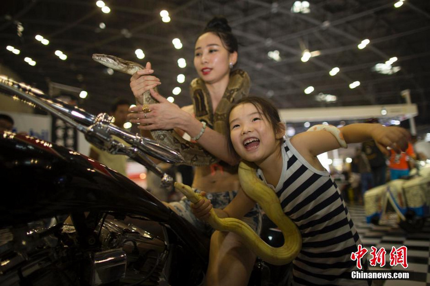 �ƽ����ʹ���ģ����̫ԭ���ʳ�չ