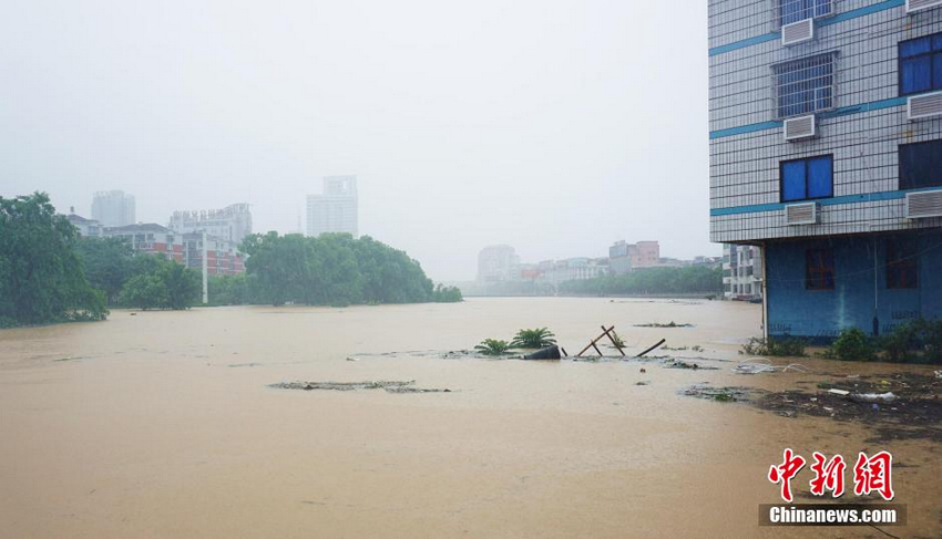 �����������һƬ����