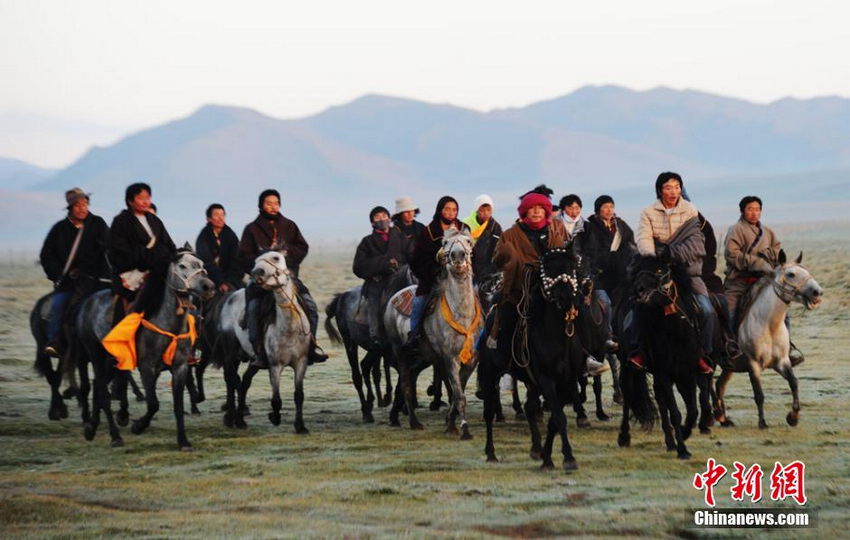 甘肃藏区夏河传统赛马 骑手策马扬鞭驰骋草原