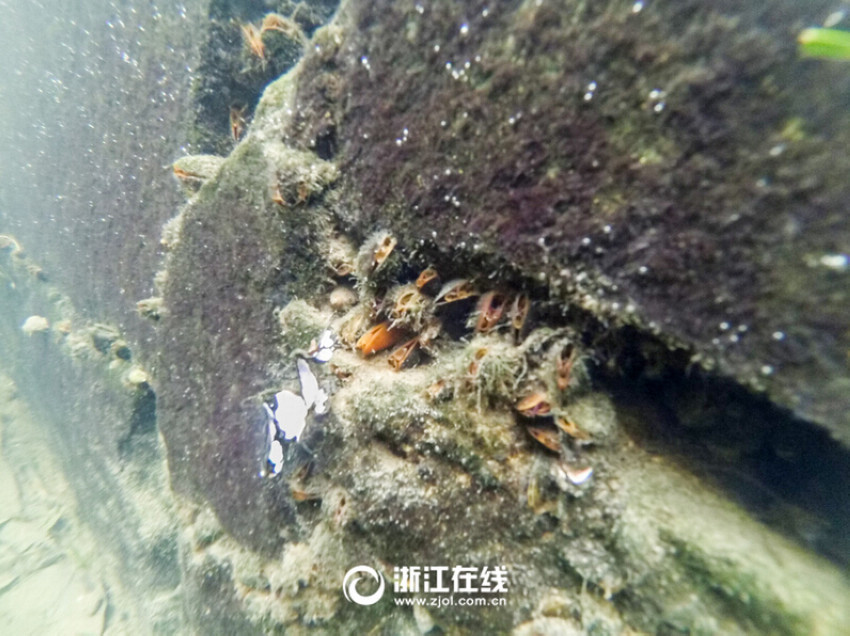���ߵ�ʯ������౴�ǲ������С�