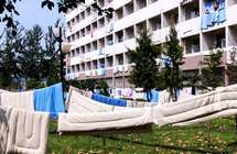 ɽ����Уɹ���ӳ���׳��