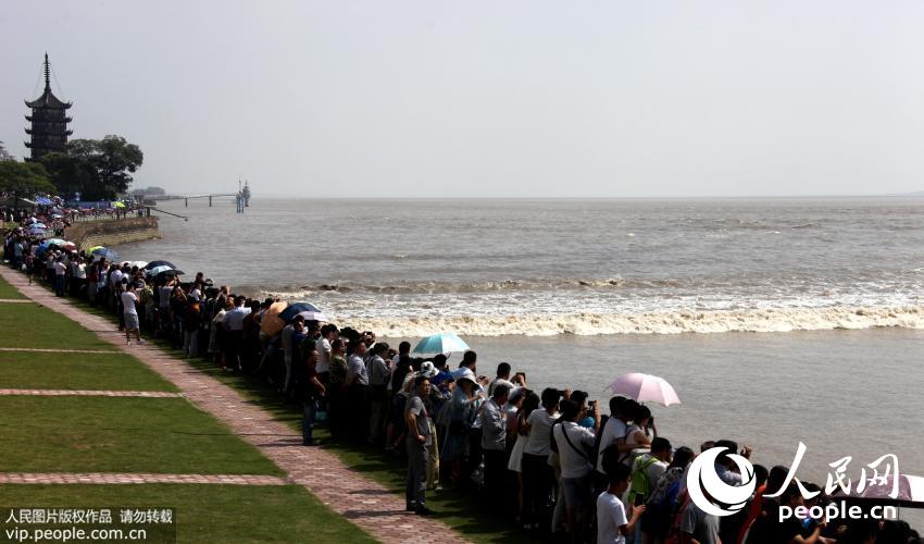 �㽭�����������ο�����۴�