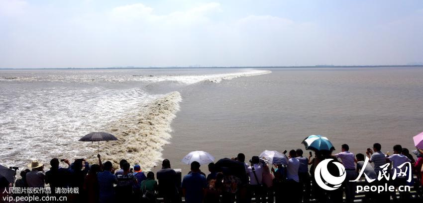 �㽭�����������ο�����۴󳱡�3��