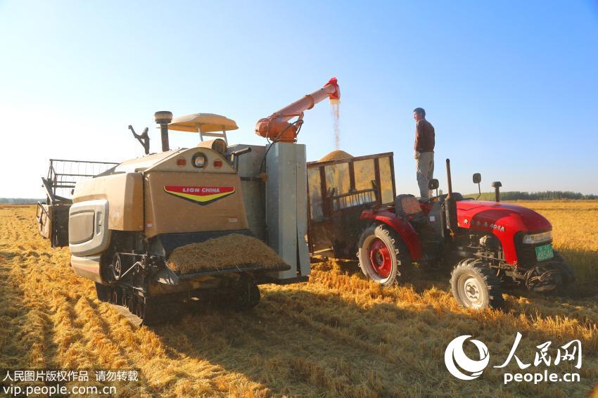 10��2�գ��ո�������½�����������ŵ���ʦ��ʮ������ҵ���������л�ˮ�������ո�ˮ�����������