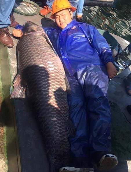 ����ǧ��������180������� ���ۻ����