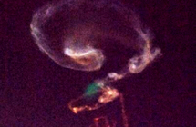 �½�����־޴��ʺš� �����߲ʹ�â