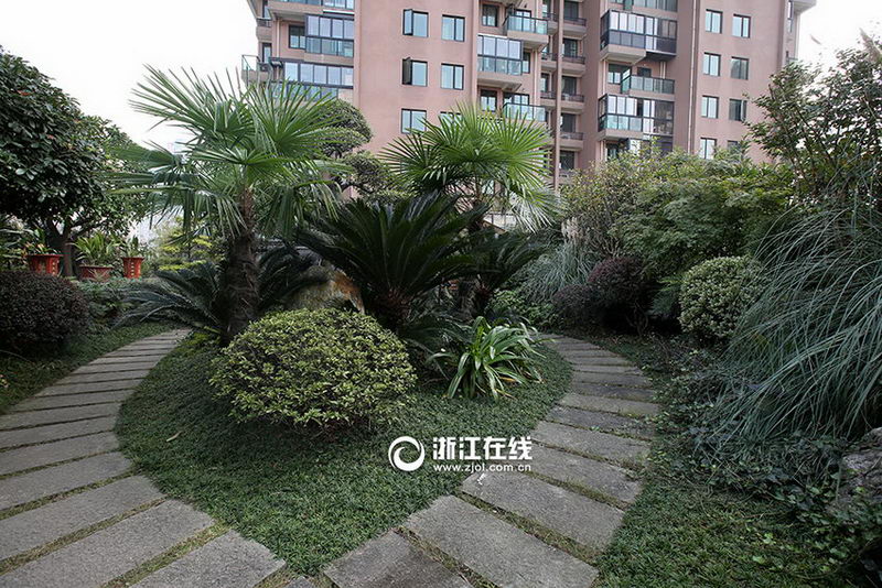 ���ݡ���ţ���к�԰�����԰���̻��������꾫�������Ѿ���ģ�����ˡ�