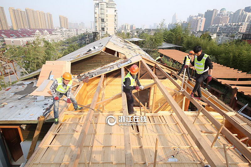 ���������ڶ�Υ����ʩ���в����